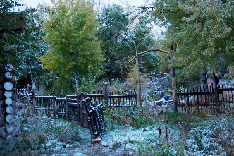 Taos Goji Farm & Eco-Lodge Retreat Arroyo Seco Экстерьер фото