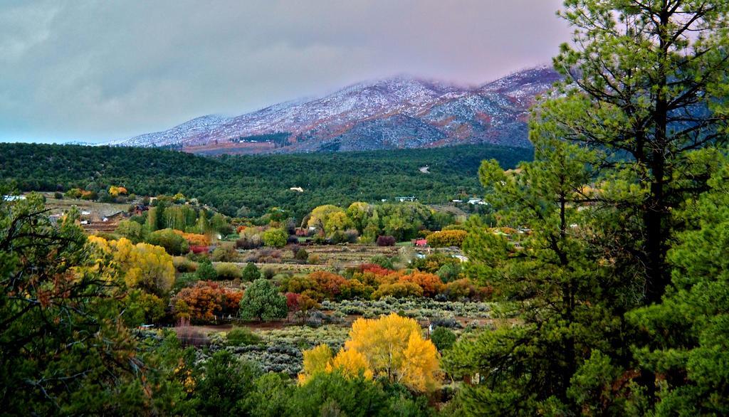 Taos Goji Farm & Eco-Lodge Retreat Arroyo Seco Экстерьер фото